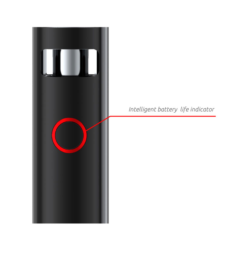 SMOK Stick AIO Kit&Mod with Intelligent Battery Life Indicator